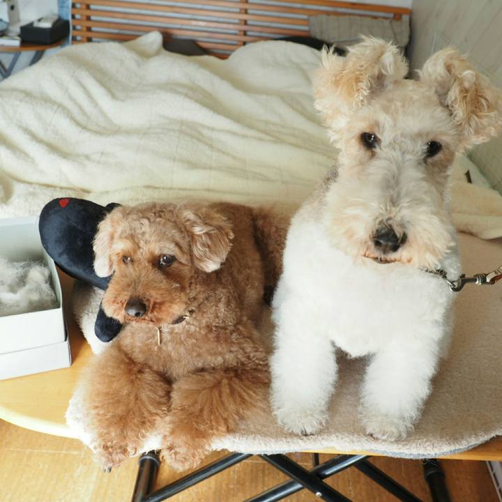 9b37e6be 9985 4fea 8a6f 54e9eac12d7f