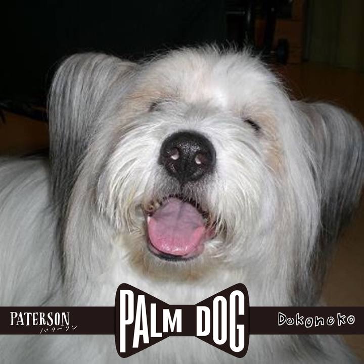 9b382c74 4cd4 4ff3 8cb0 425d75de3884