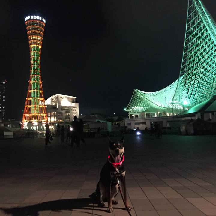 9b387ed3 f06b 4a1d 9e4c d454e788cbb7