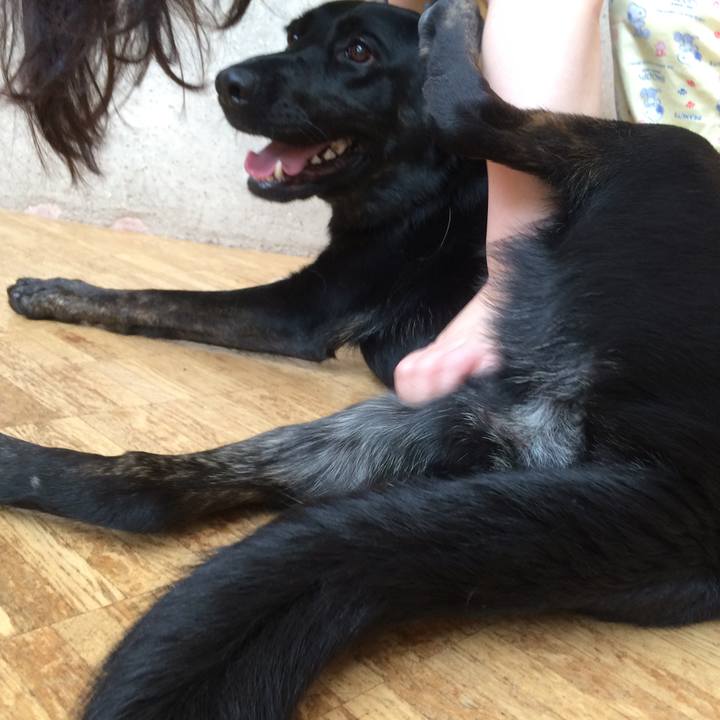 9b3974c0 f383 482a a62c 60088a166882