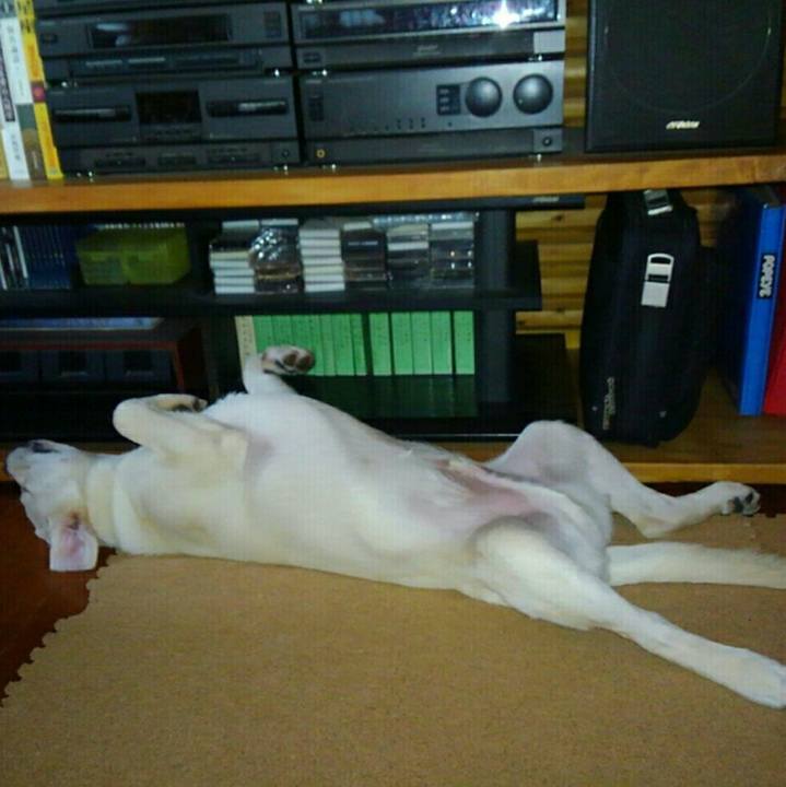 9b399c27 d5c8 4e0d ba51 5e7236358d14