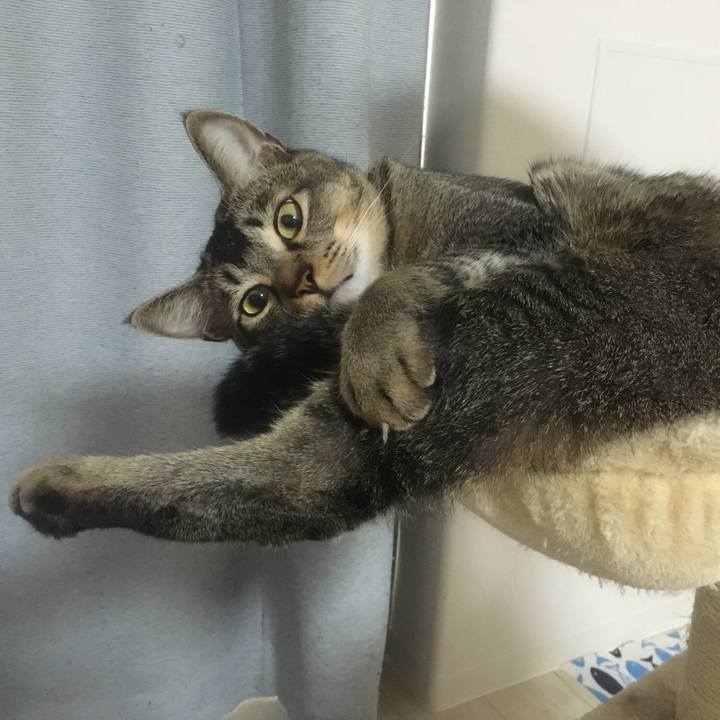 9b39a529 a89d 45c1 a214 49711641bae9