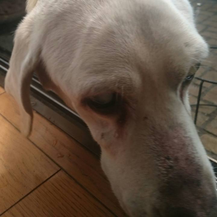 9b3a63dc b51a 448e ad1e e011d03702b9