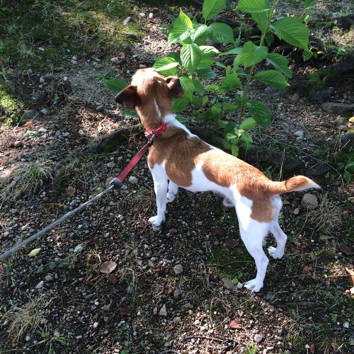 9b3b87e8 e688 4e29 8c49 966b0a2c5a44