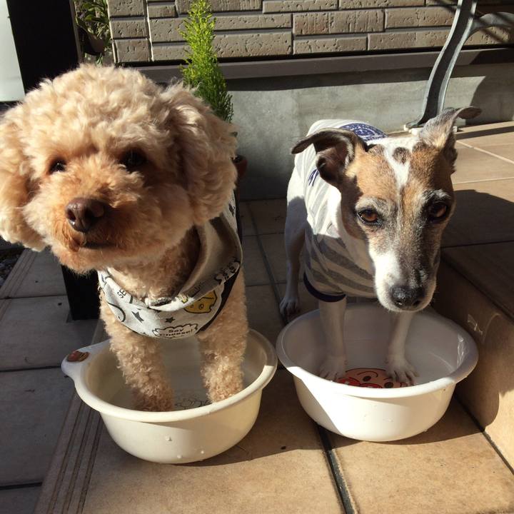 9b3c0675 560c 46ef 97c9 e22580025f69