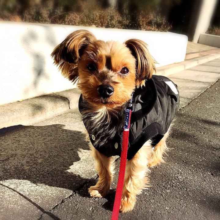 9b3c4fa2 1aa6 4acb 8326 560a1ea902b8