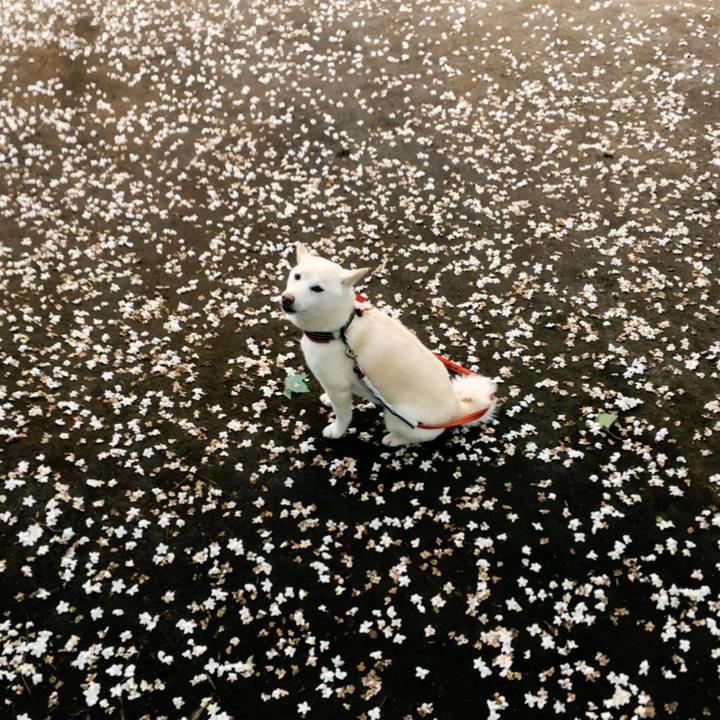 9b3c9540 258c 47e1 880a 80ecdfbcd47e