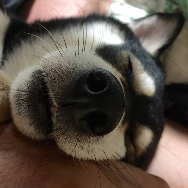 9b3cacaa 50e2 44cb 8def 66b032a8274c