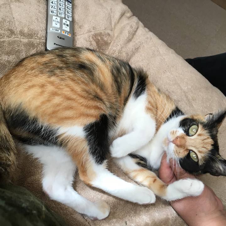 9b3d5f3f 2686 451e abbc f994ae77eb54