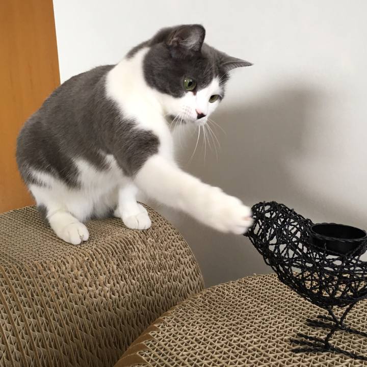 9b3da67e b387 4e2f 9a6f 6d121a996e03