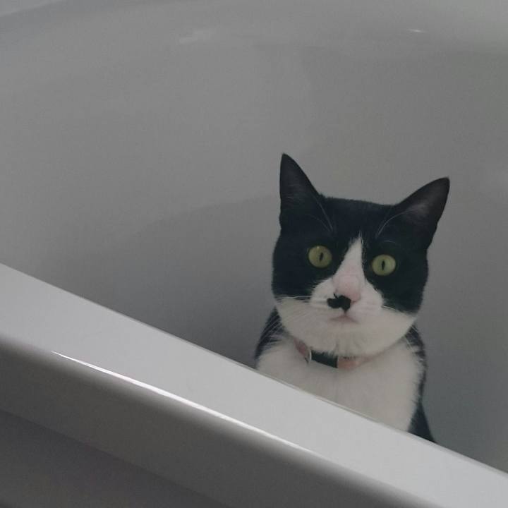 9b3e3e3c 05dd 4d81 9698 1b166edd3a86