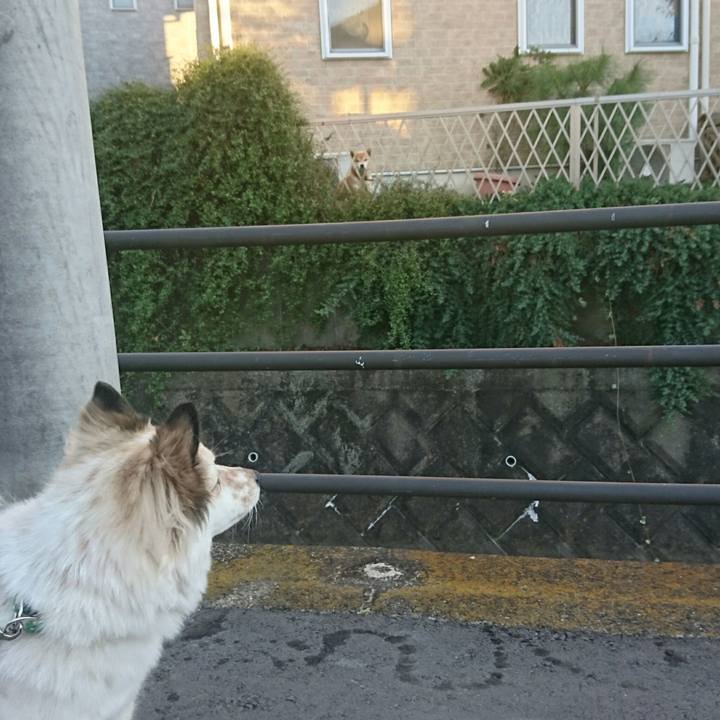 9b3e446b 04be 46db b3c9 0c1606940588