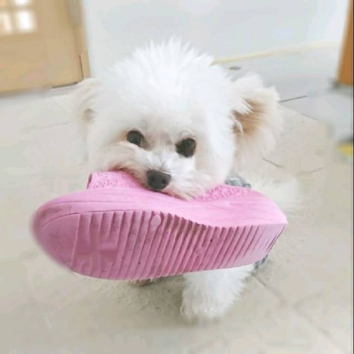 9b3e4a32 ef2d 4e03 a9ff 47b1e2cd7788