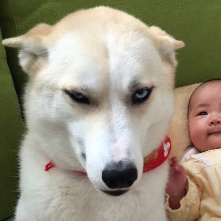 9b403730 ed30 4a30 b7e7 954847718e7d