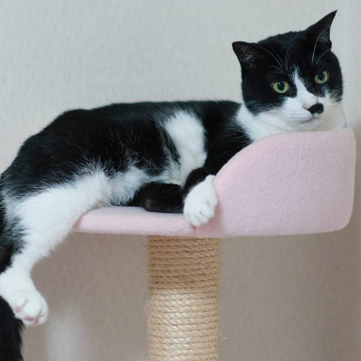 9b409914 9a3d 40c4 9c06 94030efe1ecf