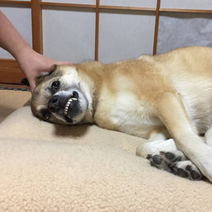 9b4149a7 d5ff 4453 aeac 7ae7c1dad4ae