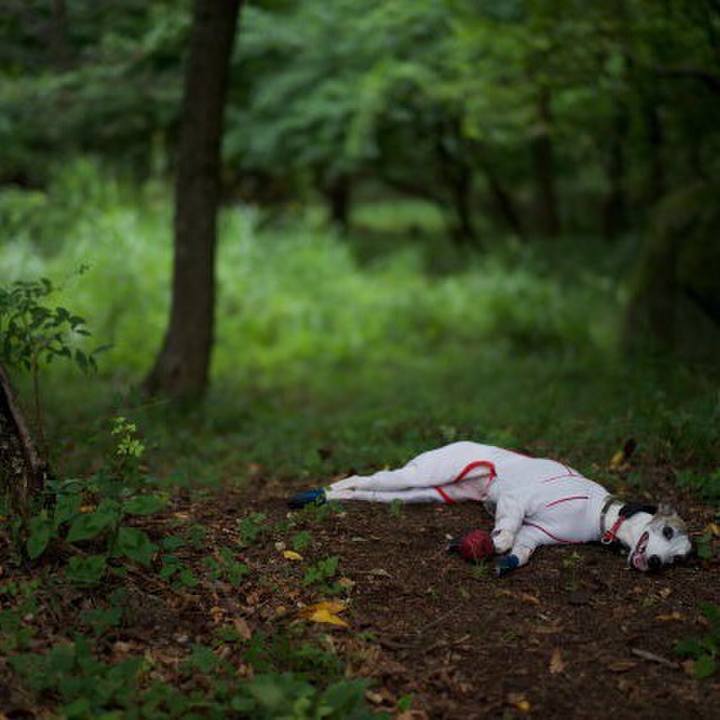 9b41d635 272d 4f72 870f 1d41cc271b68