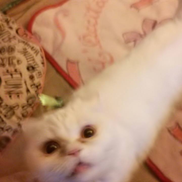 9b42028a a96b 4b12 9d39 6abdbd0104ec