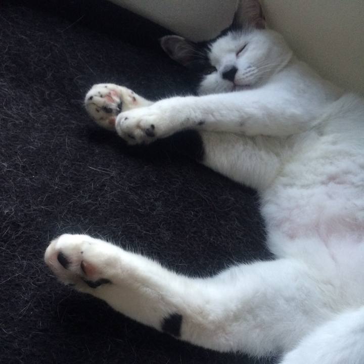 9b424cb1 2f20 4eef 82f8 d94b3745d742