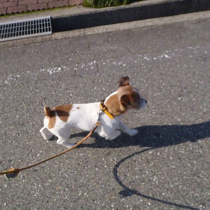 9b426fc9 d69d 42a3 93fe c2fc20f07e52