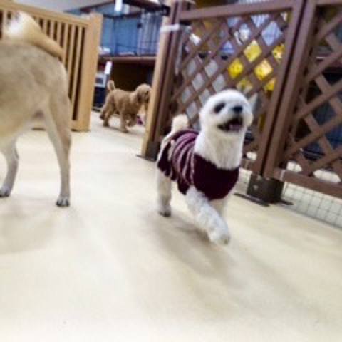 9b42960e 7b41 4f17 99e3 b1bb94b25f7e