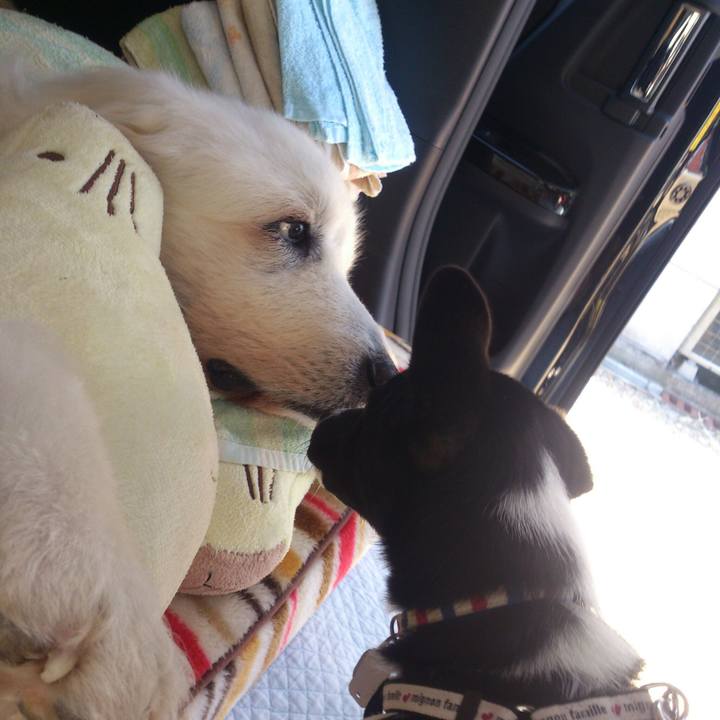 9b42ab85 0e78 41a3 92ba dfb948c40da8