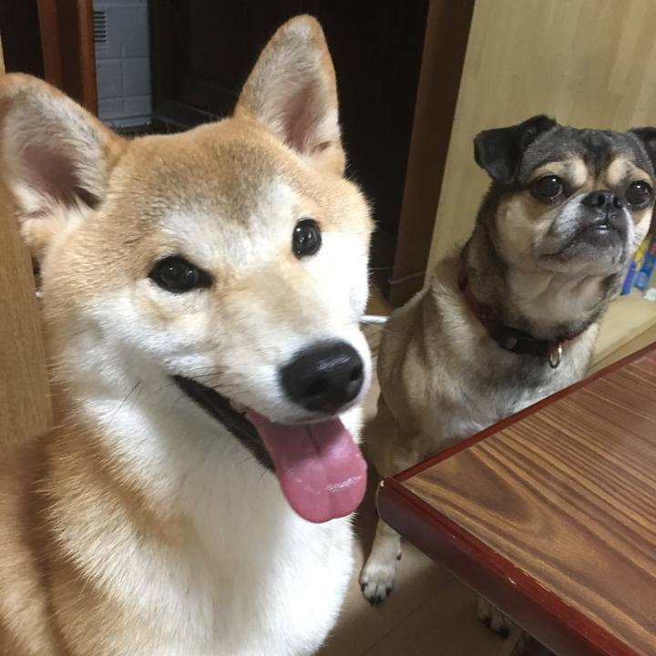 9b42b935 f07a 4779 b911 64a8105e9f86