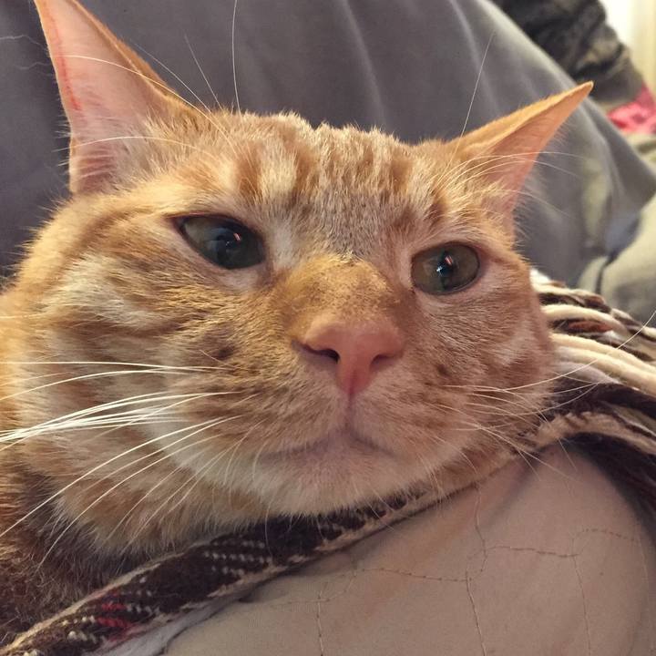 9b42ccc3 926e 42c5 a9f6 b956b73f74a3