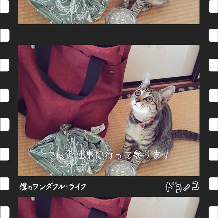 9b42dc80 20bf 465b 9cf5 96bd808a021d