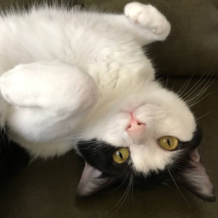 9b432e50 a27f 4a86 b593 3598e49fbcd5