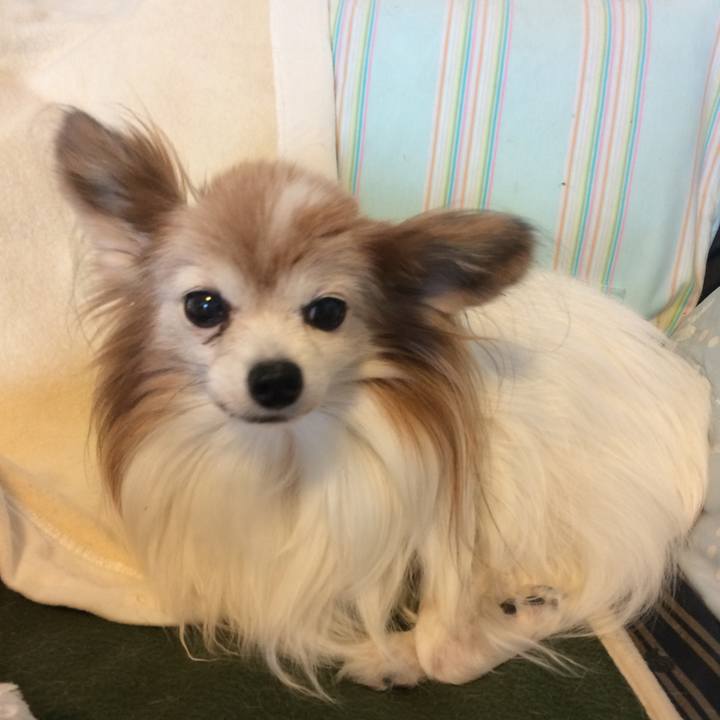 9b43cbf2 38aa 4524 98c4 093bfa166a24