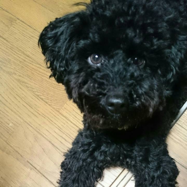 9b44b5fe 6f21 4189 b0c9 0849e8dfd21a