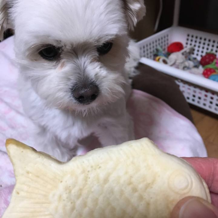 9b44c623 3614 4f67 ae5e 8d1d2fd0b809