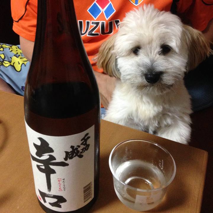 9b458a30 cc95 41ba 8e3f f91485e789d0