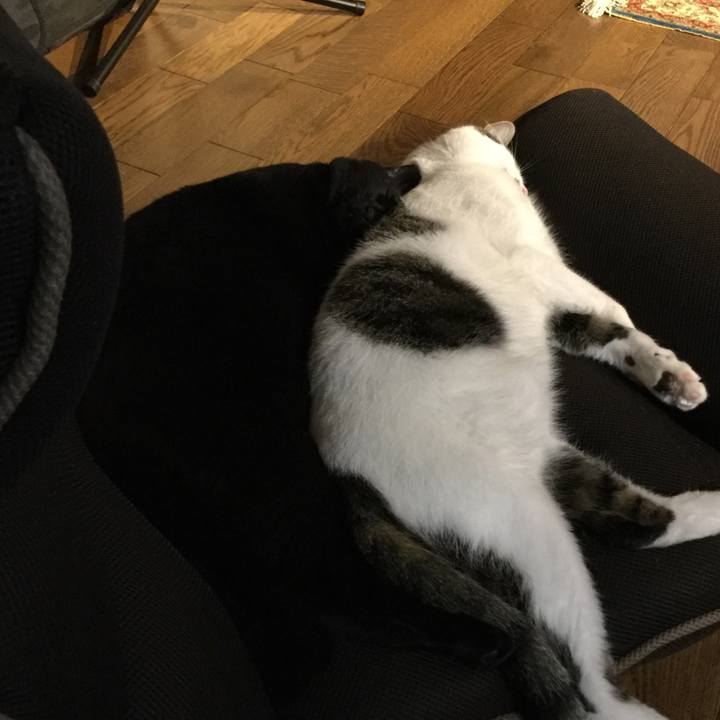 9b459e60 4e02 4603 b59c 29025ce7c898