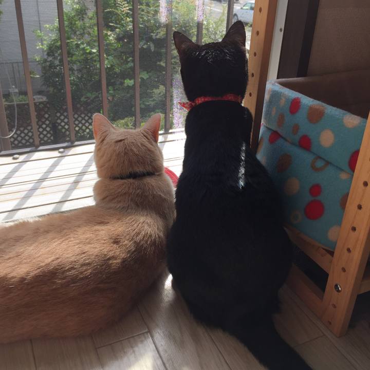 9b4652b8 8228 466d ad9a 7cc78792270a