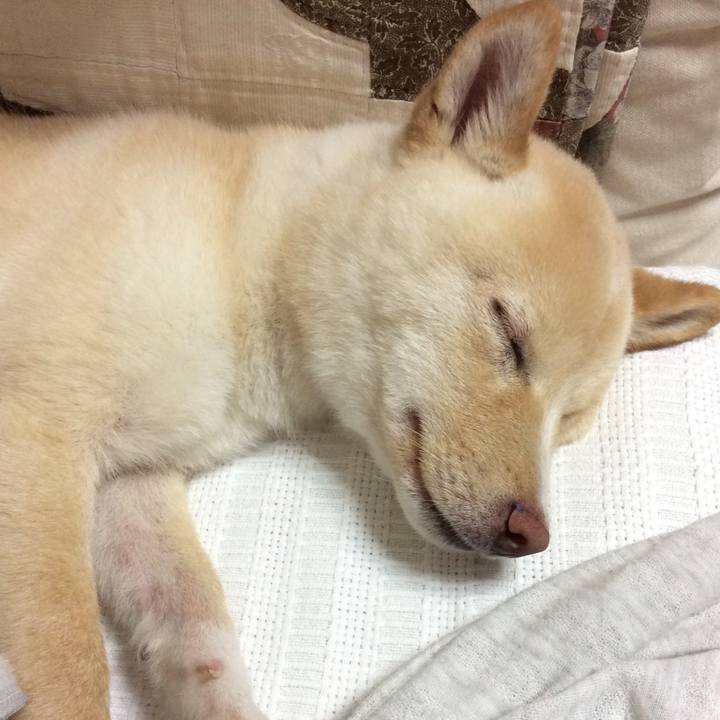 9b465801 30af 402c a372 358b15f114a2