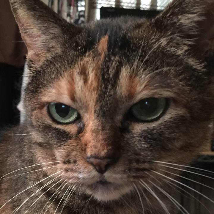 9b46b21f ee9a 4af8 aa21 822027ca4a96