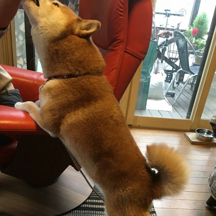 9b46c814 27d1 46c9 9f0d 8cf896379a92