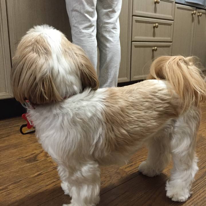 9b4721c2 22b7 4d33 81b7 e1cbea264a61