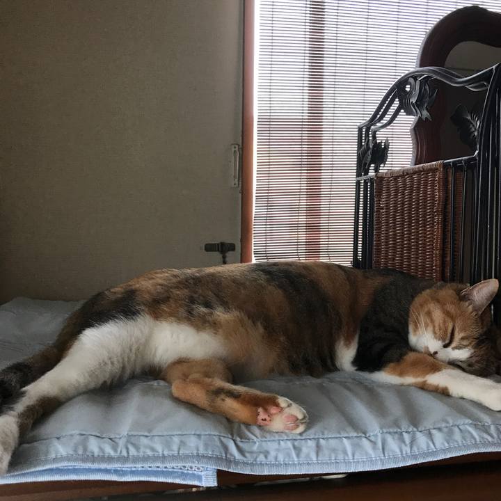 9b472c12 49a0 4f84 be95 10b985214e0a