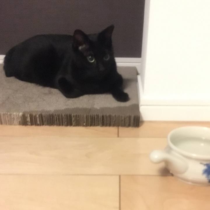 9b47518d cc59 42a1 83aa 59689d09653c