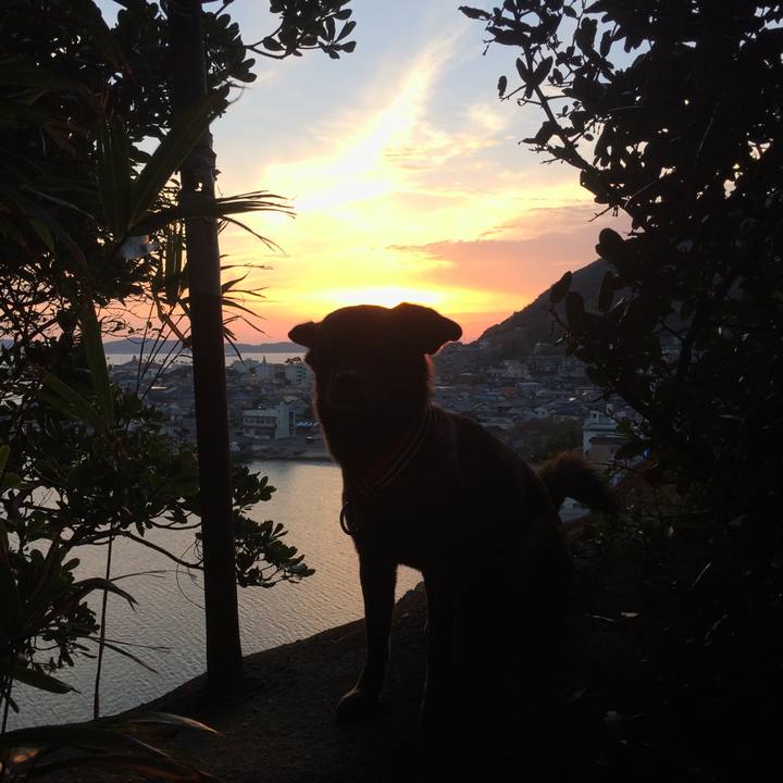 9b4777c9 95c1 4dac 8b9e 4d318afac192