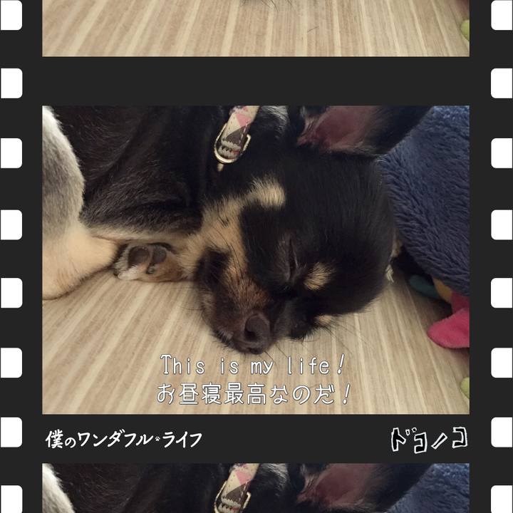 9b47bca2 4df6 4224 9969 a598cedec244