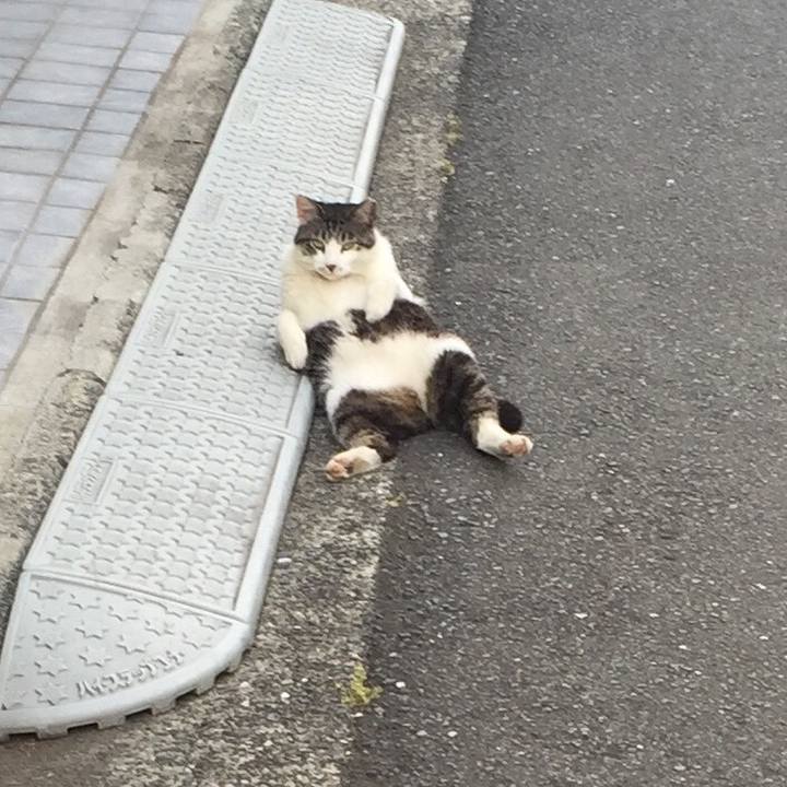 9b481f0c 4ec0 43a3 9722 c4a7948b2cd8