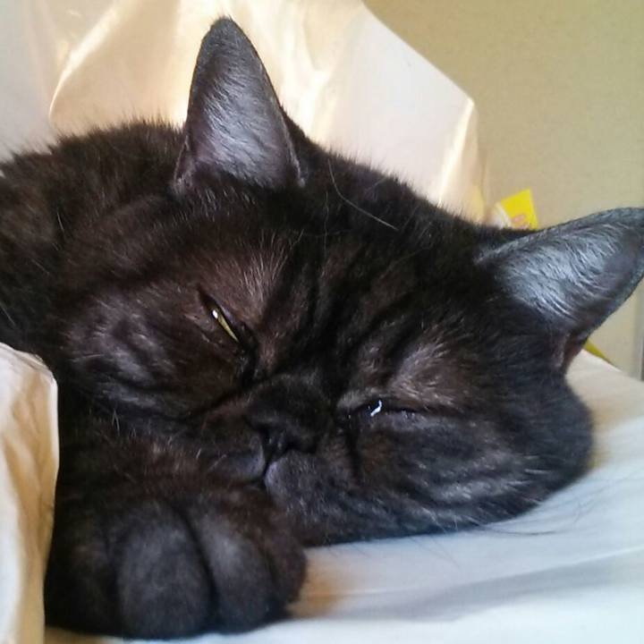 9b482fc6 868f 4789 ad4e 7e8ad2991a37