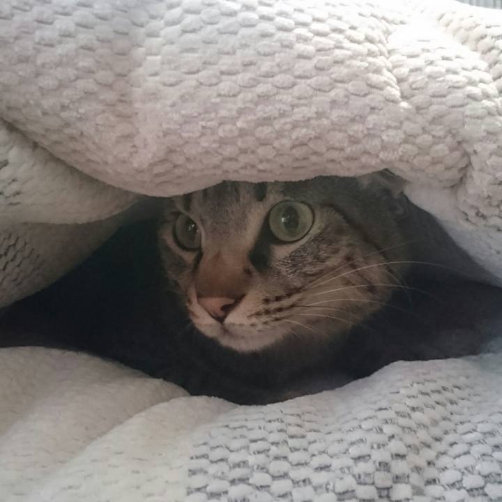 9b484ca2 128f 49e3 983e 27ef17866ca3