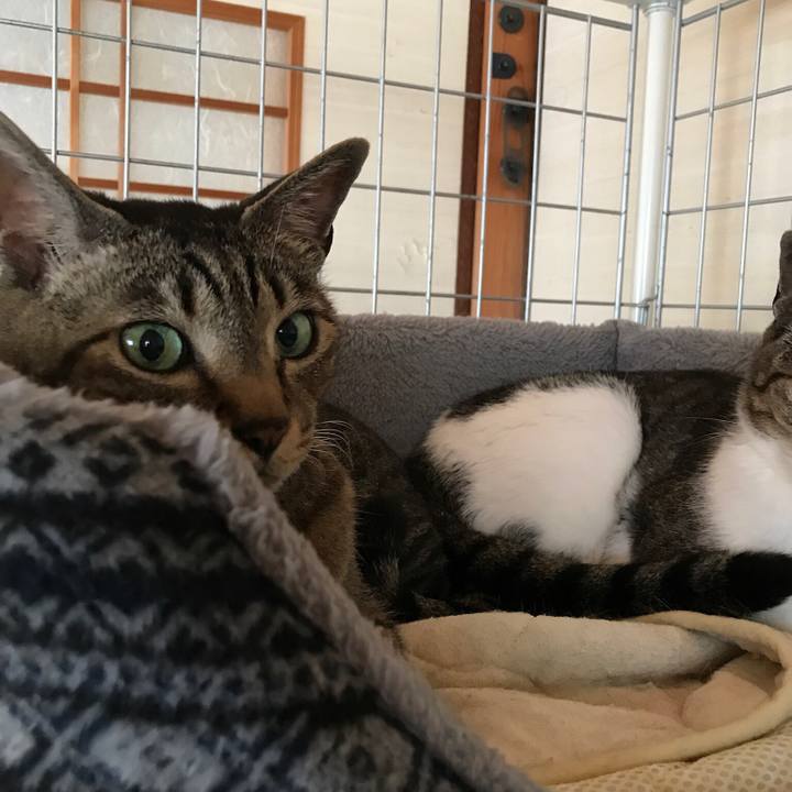 9b488ecc a194 4e62 9dc5 5d5ad5549576