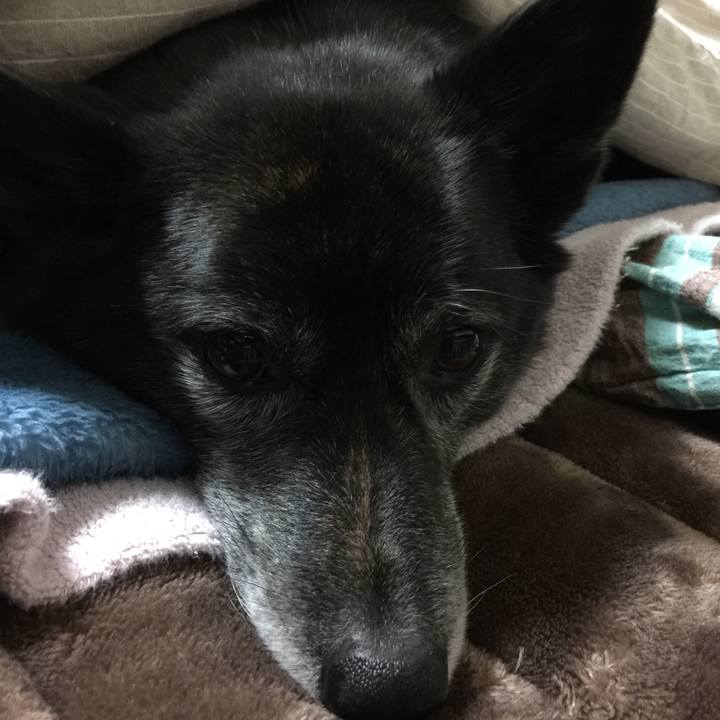 9b48c07f 7e12 45ee 88b7 df0e18a98ef4