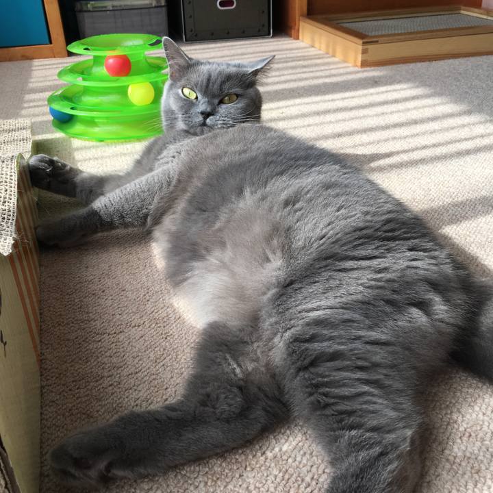 9b48ff0a 1e2c 4816 aeec fe4a31e91b5a